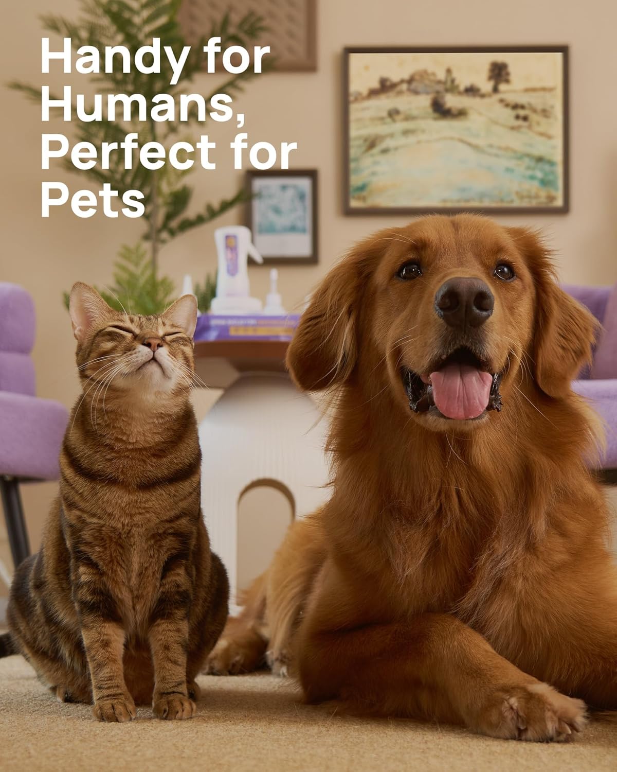 HICC PET Toallitas para ojos de perros y gatos, tratamiento para in...