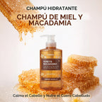 KUNDAL Juego de champú y acondicionador coreano, calidad de salón,...