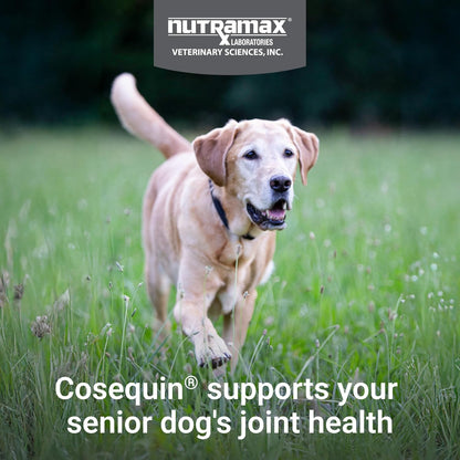 Nutramax Cosequin para perros mayores - Suplemento para la salud de...