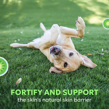 Nutramax Dermaquin Suplemento de apoyo para la piel para perros gra...