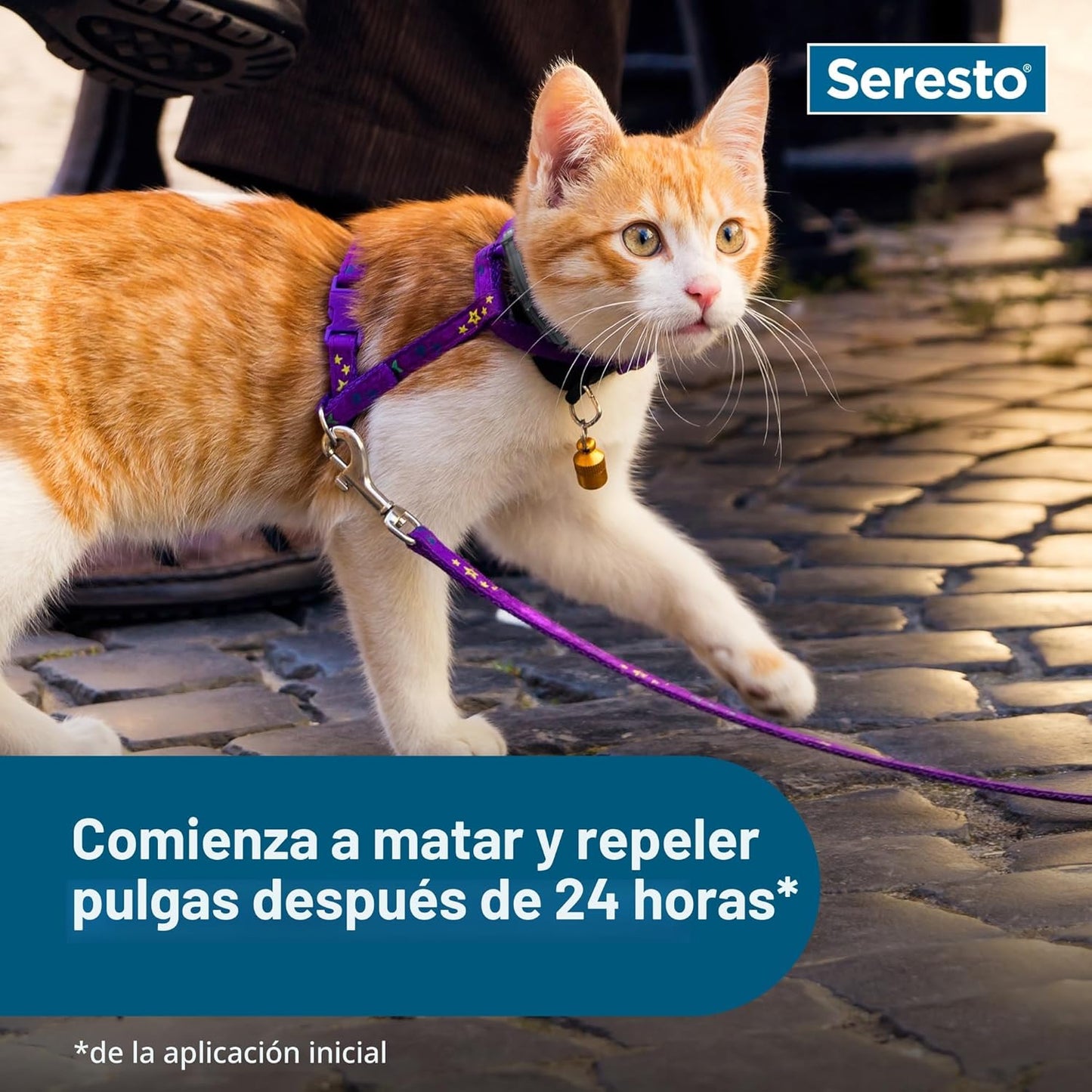 Seresto Collar de prevención y tratamiento de pulgas y garrapatas r...