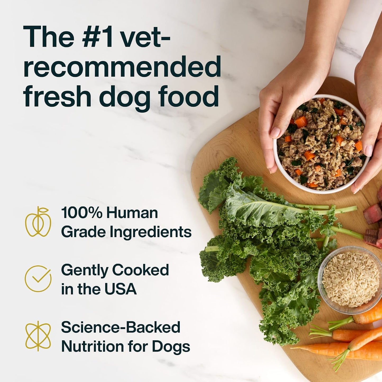 JustFoodForDogs JustFresh - Comida húmeda para perros, comidas fres...