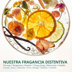 Biolage Hydra Source - Tónico diario sin enjuague, hidrata y desenr...