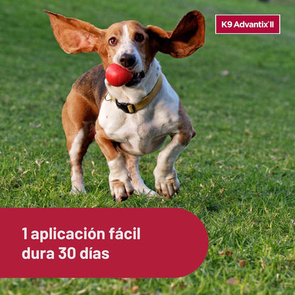 K9 Advantix II Tratamiento y prevención de pulgas, garrapatas y mos...