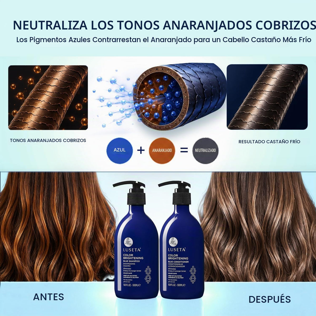 Luseta Blue Champú y Acondicionador Set para Morena 2x16.9oz | Cham...