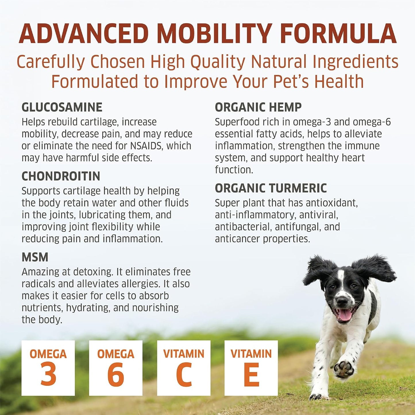 Suplemento de cadera y articulaciones para perros \u2013 Glucosamin...