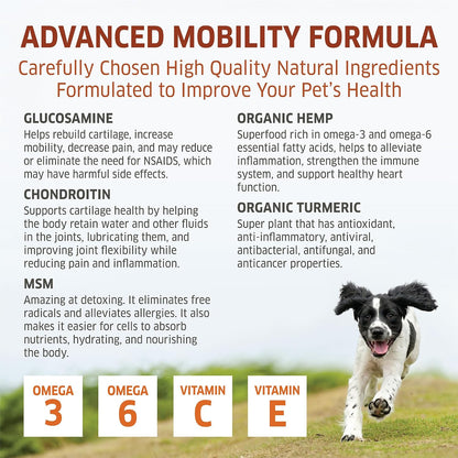 Suplemento de cadera y articulaciones para perros \u2013 Glucosamin...