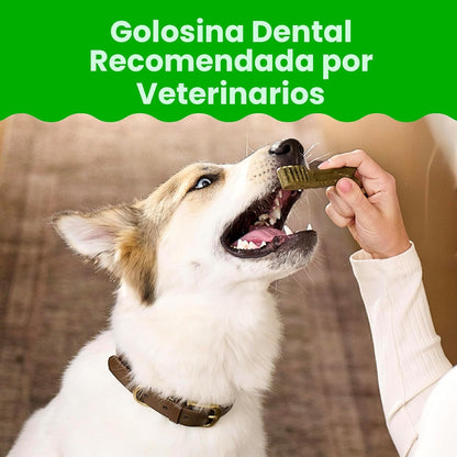 Greenies Golosinas dentales naturales para perros adultos recomenda...