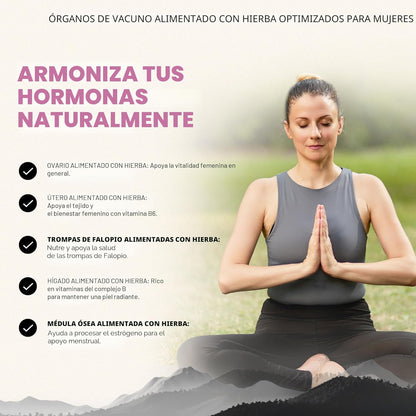 Suplemento de órganos de res para mujeres \u2013 Apoya el equilibri...