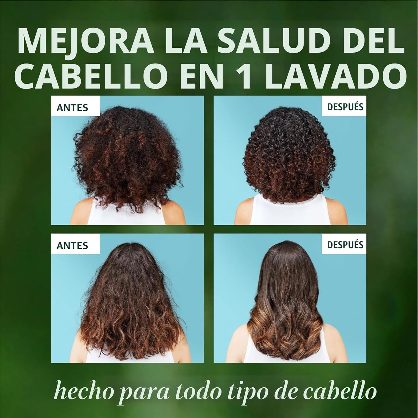 Herbal Essences Juego de champú y acondicionador reparador de aceite de argán, hidrata y suaviza, sin parabenos, seguro para el color, pH equilibrado, aroma cítrico, 20.2 onzas líquidas, paquete de 2