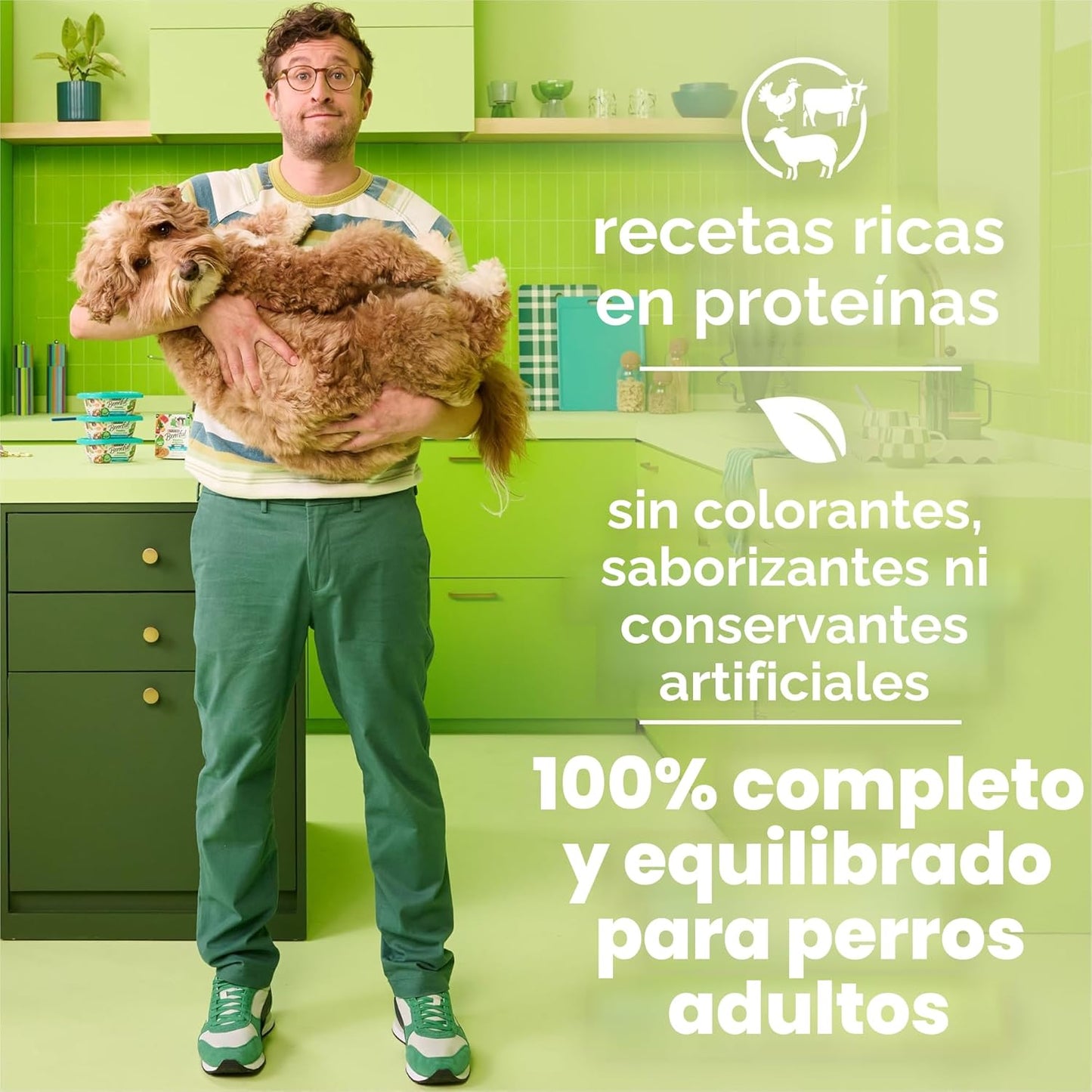 Purina Beneful - Paquete variado de alimentos húmedos en salsa para...