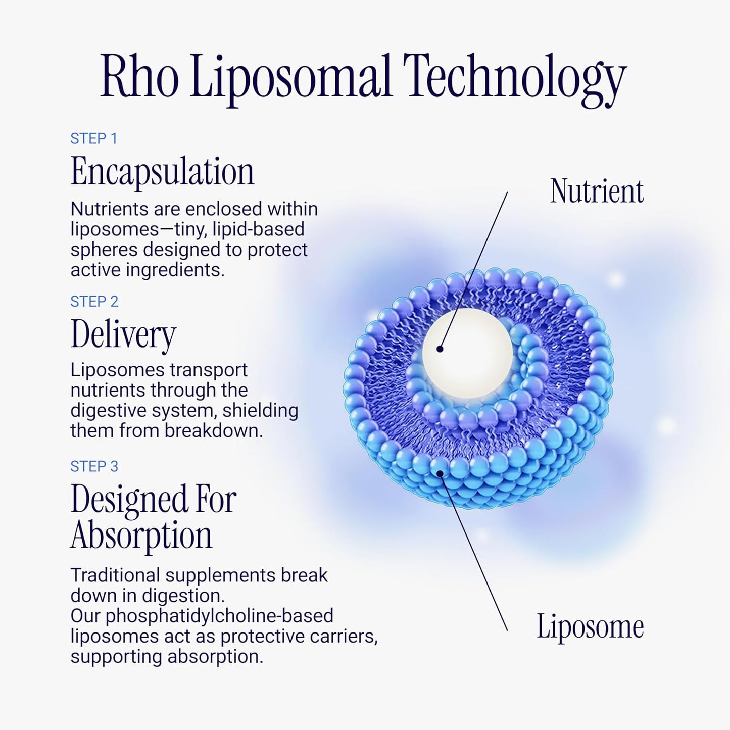 Rho Nutrition Glutatión liposomal: suplemento líquido de glutatión...