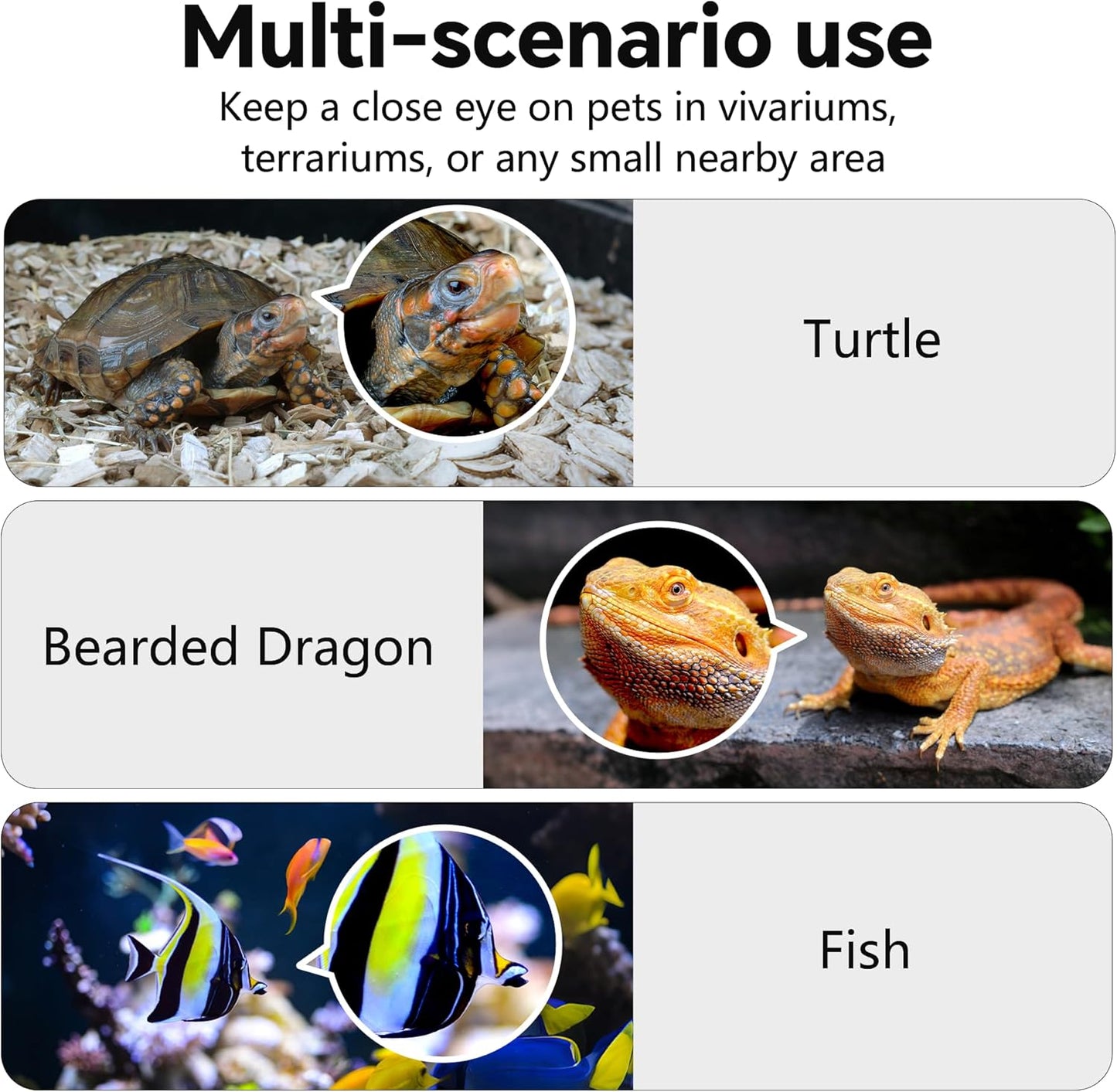 SnapBud Cámara de reptiles y acuario AI de 3MP 2K con soporte magné...