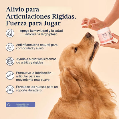 Pawfy Suplemento para Cadera y Articulaciones para Perros con MSM y...