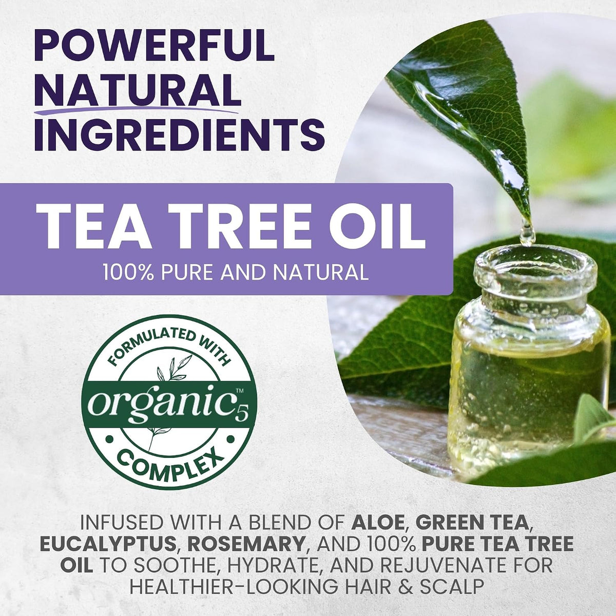 Juego de champú y acondicionador de árbol de té morado para cabello...
