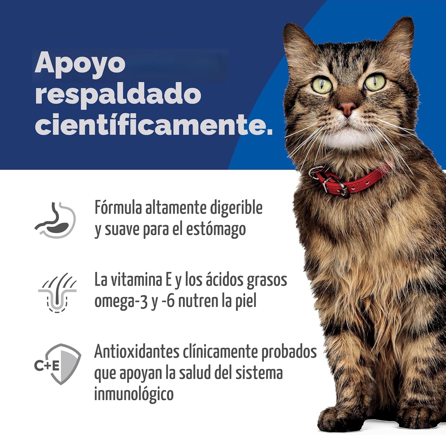 Hill's Science Diet Alimento seco para gatos adultos de 1 a 6 a...