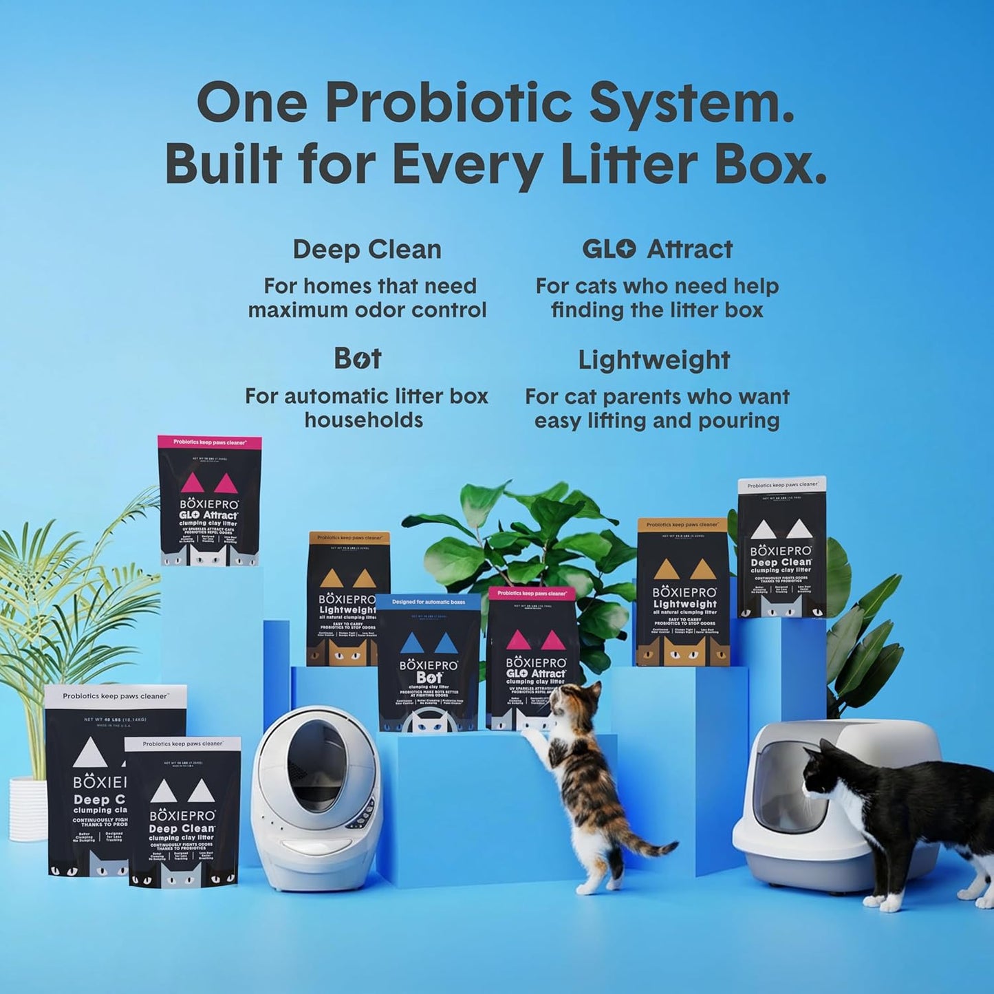 Boxie Arena Probiótica para Gatos, Control de Olores de 40 Días, Ar...