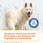 Douxo S3 PYO Champú medicado para perros con clorhexidina al 3% par...