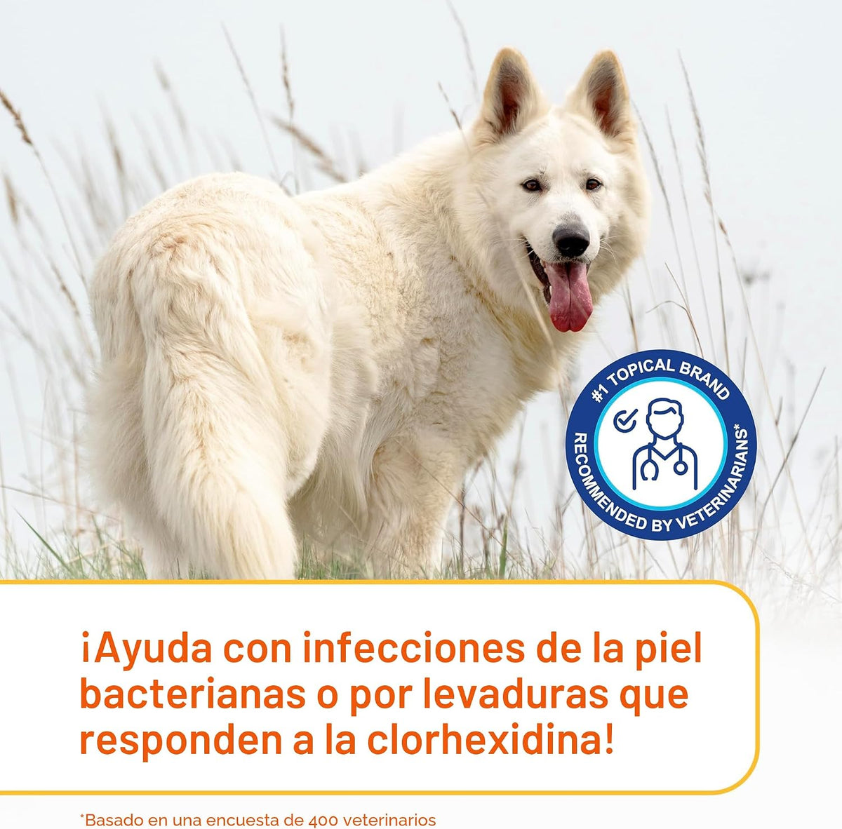 Douxo S3 PYO Champú medicado para perros con clorhexidina al 3% par...