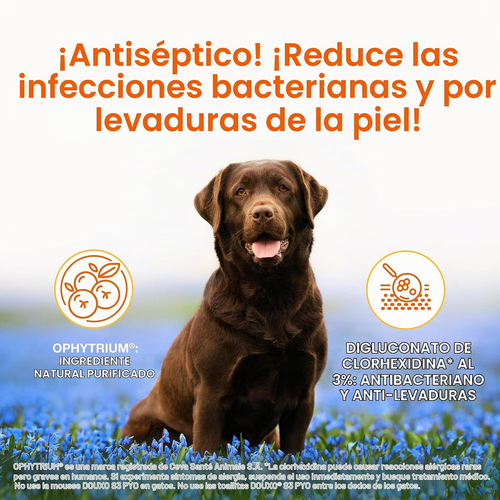 Douxo S3 PYO Champú medicado para perros con clorhexidina al 3% par...