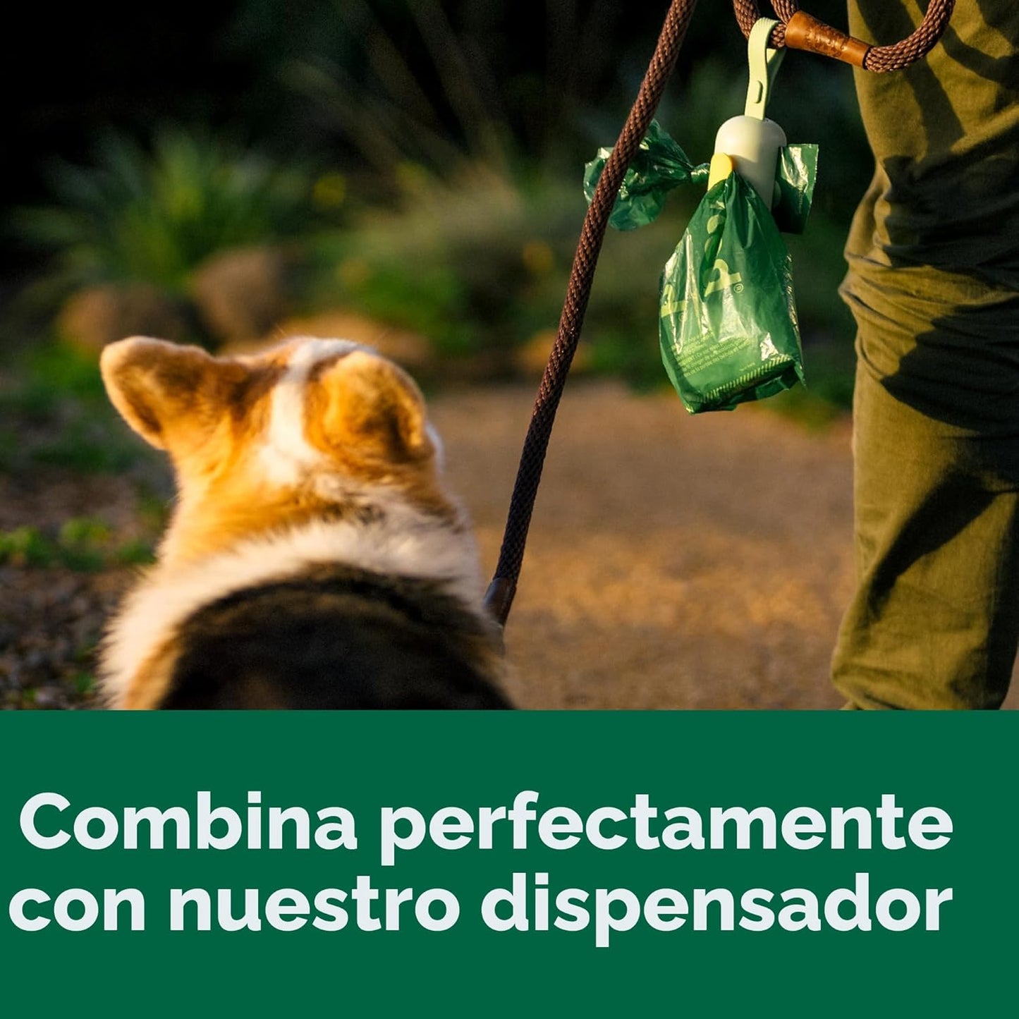 Earth Rated - Bolsas para excremento de perro, bolsas extra gruesas...