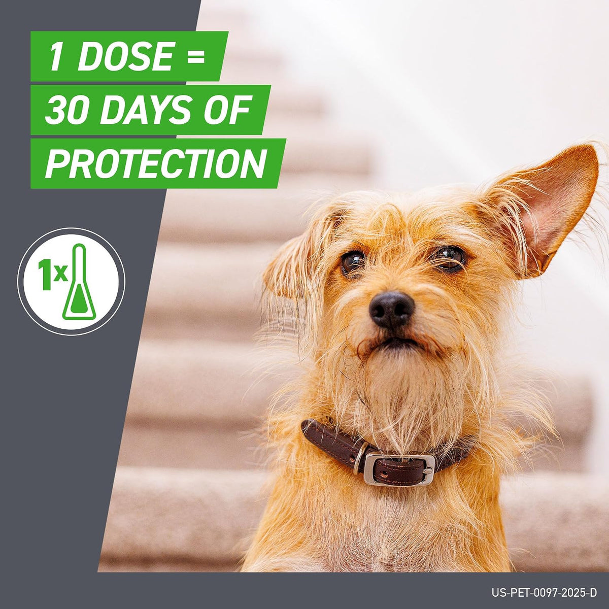 FRONTLINE Plus para perros Tratamiento contra pulgas y garrapatas (...
