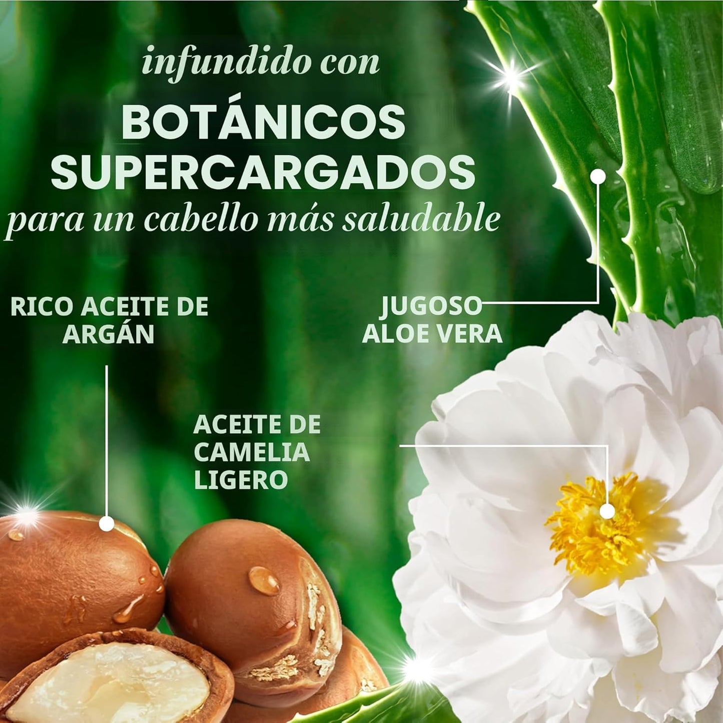 Herbal Essences Juego de champú y acondicionador reparador de aceite de argán, hidrata y suaviza, sin parabenos, seguro para el color, pH equilibrado, aroma cítrico, 20.2 onzas líquidas, paquete de 2