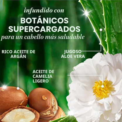 Herbal Essences Juego de champú y acondicionador reparador de aceite de argán, hidrata y suaviza, sin parabenos, seguro para el color, pH equilibrado, aroma cítrico, 20.2 onzas líquidas, paquete de 2