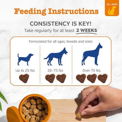 Zesty Paws Multivitamínico para perros \u2013 Glucosamina y condroi...