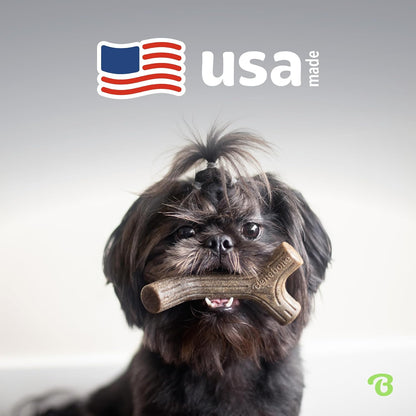 Benebone Paquete de 4 juguetes masticables medianos para perros par...