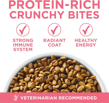 Purina ONE Alimento seco natural para gatitos con alto contenido en...