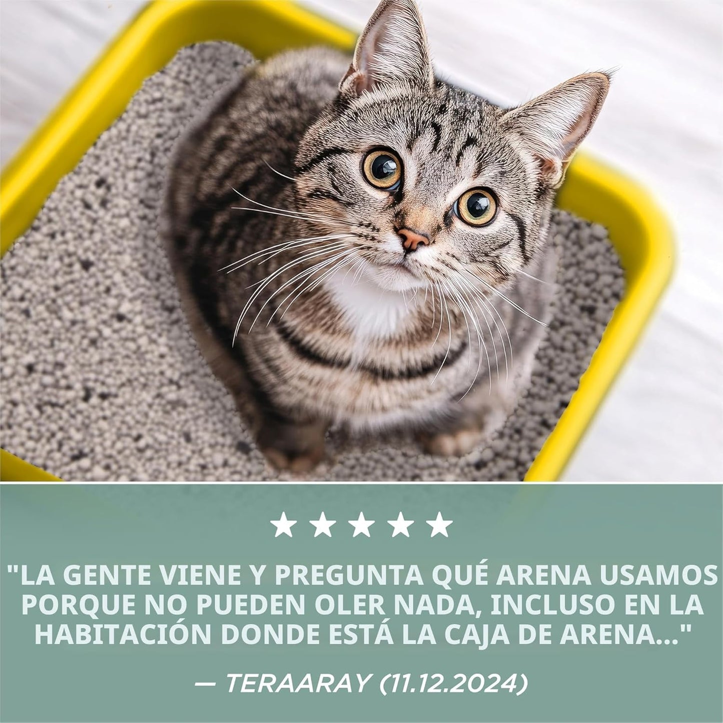 Purina Tidy Cats - Arena aglutinante para gatos, control de olores,...