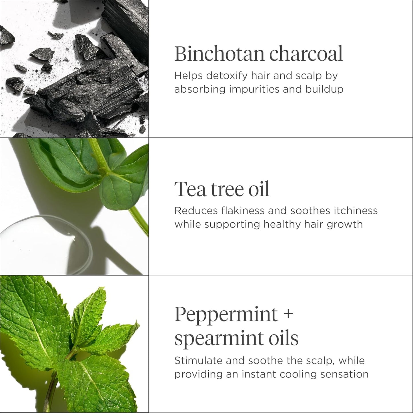 Briogeo Scalp Revival Charcoal + Tea Tree - Mascarilla refrescante para el cuero cabelludo | Tratamiento semanal del cuero cabelludo para cuero cabelludo seco, escamoso o con picazón | Desintoxicante