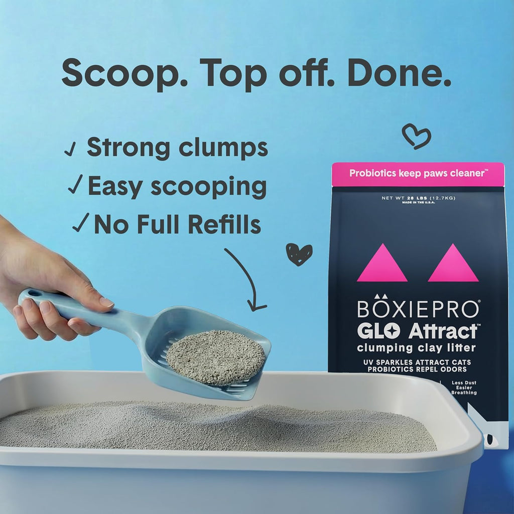 Boxie Glo Attract - Arena para gatos de más de 40 días, control de...