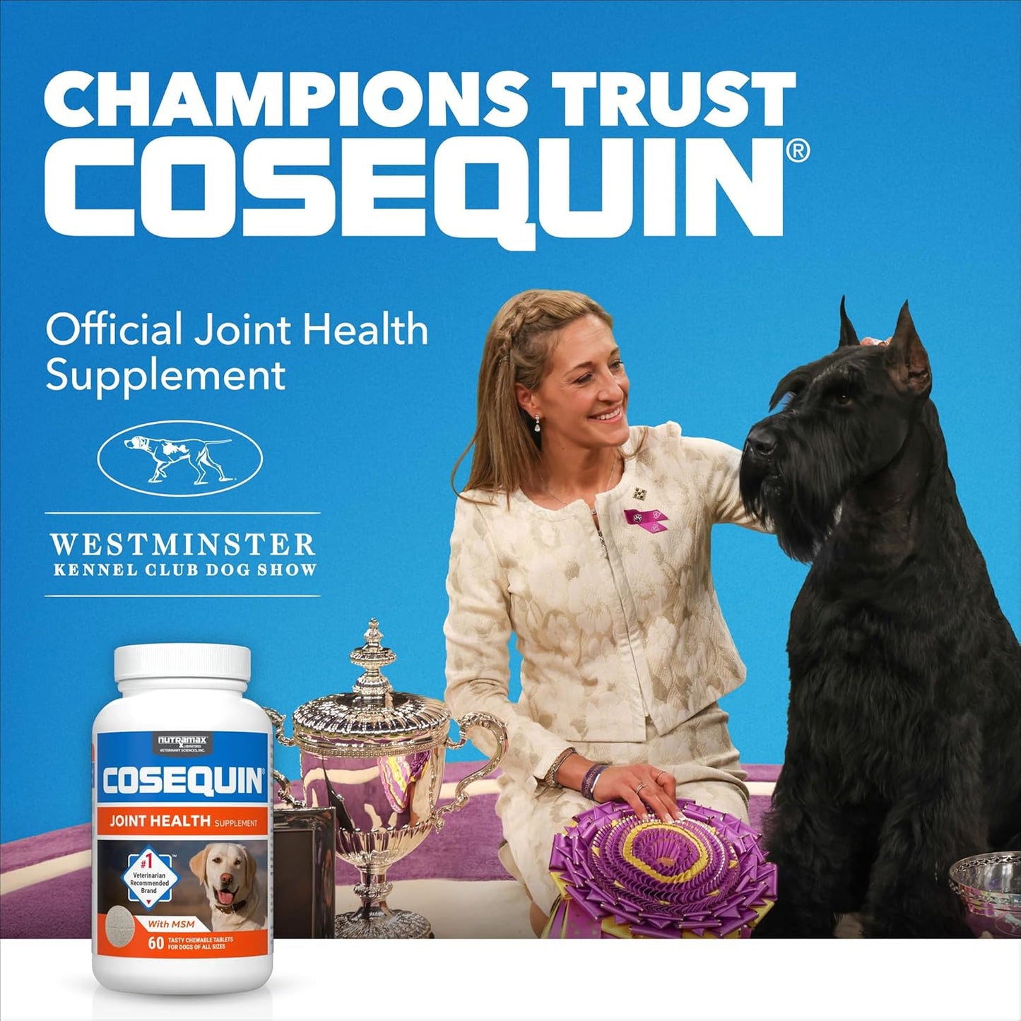 Nutramax Laboratories Cosequin Suplemento de salud articular de máx...