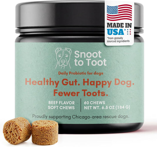 Snoot to Toot Probióticos para perros con prebióticos, enzimas dige...