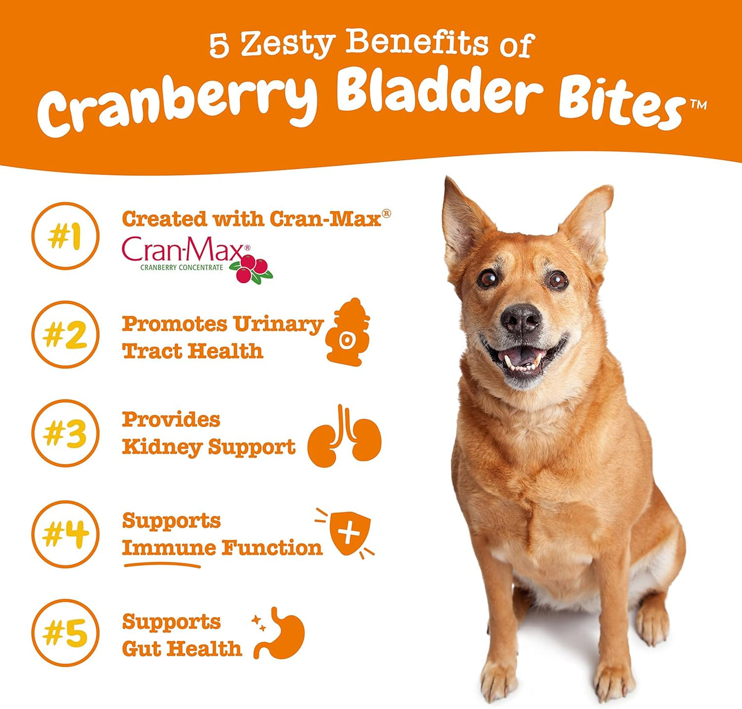 Zesty Paws Suplemento de arándano para perros - Control de vejiga p...