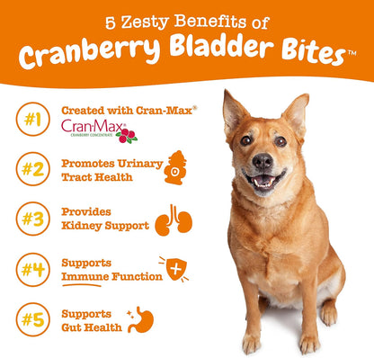 Zesty Paws Suplemento de arándano para perros - Control de vejiga p...