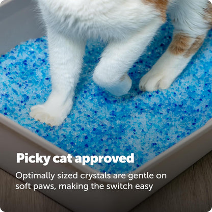 PetSafe ScoopFree Arena de Cristal Premium para Gatos - Supera a la...