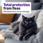 Amazon Basics Tratamiento tópico preventivo contra pulgas para gato...