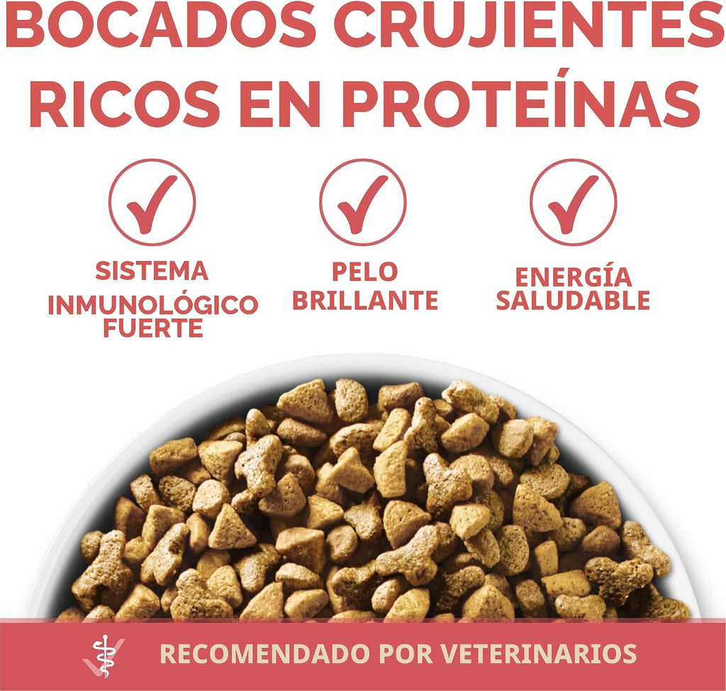 Purina ONE Alimento Natural para Gatos Bajo en Grasa, Alimento Seco...