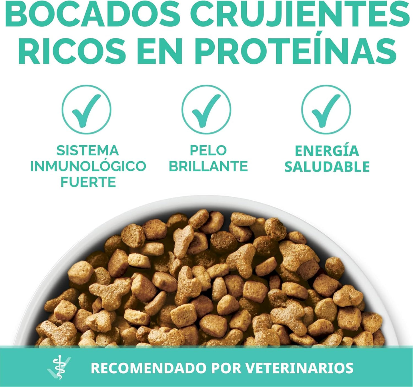 Purina ONE Estómago sensible, piel sensible, alimento seco natural...