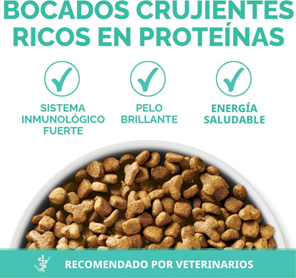 Purina ONE Estómago sensible, piel sensible, alimento seco natural...