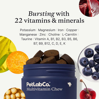 PetLab Co. Multivitamínico para perros 22 en 1 - Apoyo a la respues...