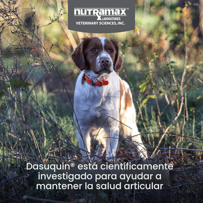 Nutramax Dasuquin para perros pequeños a medianos, suplemento para...