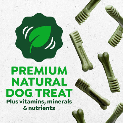 Greenies Dog Dental Chews Aperitivos para perros \u2013 Tamaño regu...