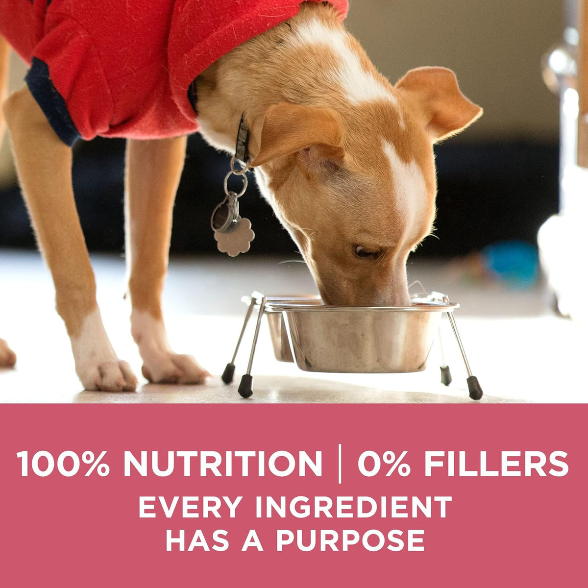 Purina ONE Alimento seco natural para perros con estómago sensible,...