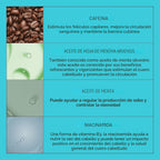 NIOXIN Kits de sistema de engrosamiento del cuero cabelludo + cabel...