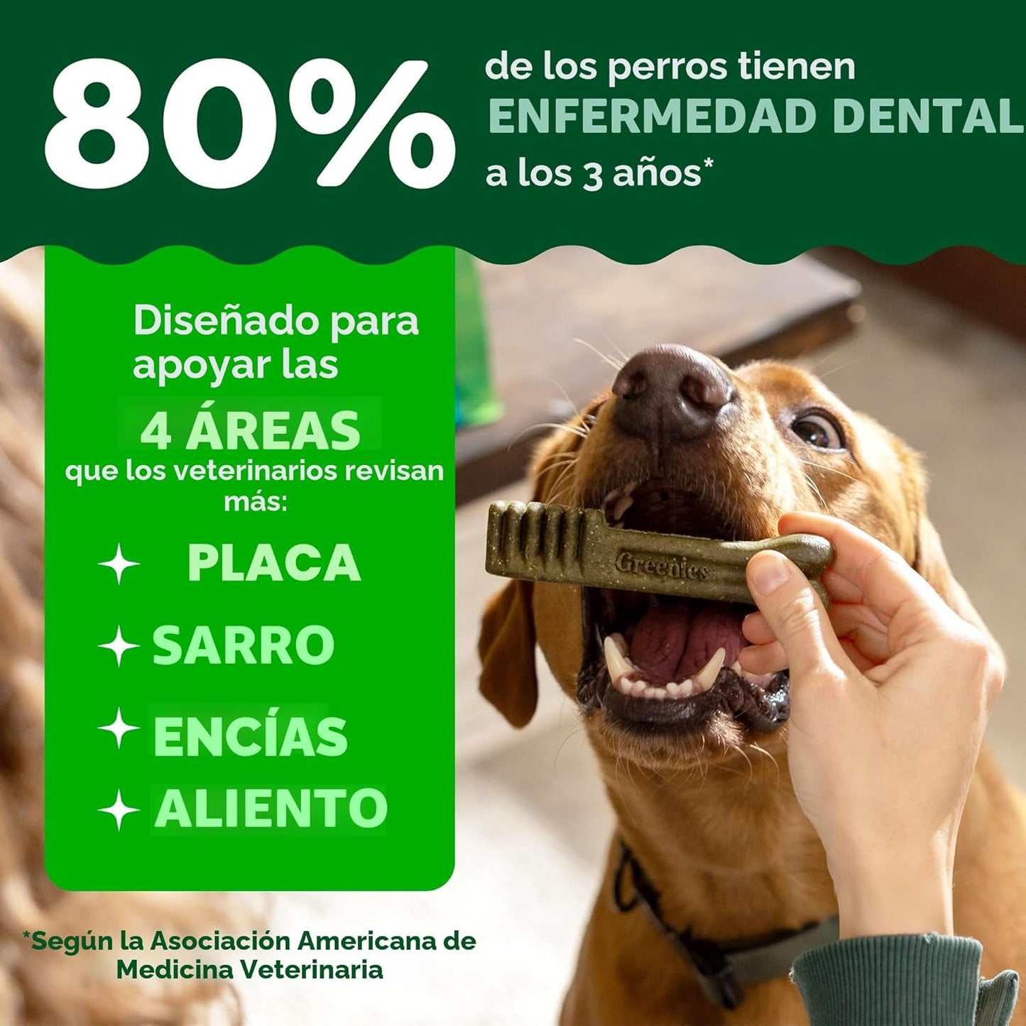 GREENIES - Golosinas naturales originales para la salud dental de p...