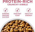 Purina ONE Natural, alimento seco para perros con estómago sensible...